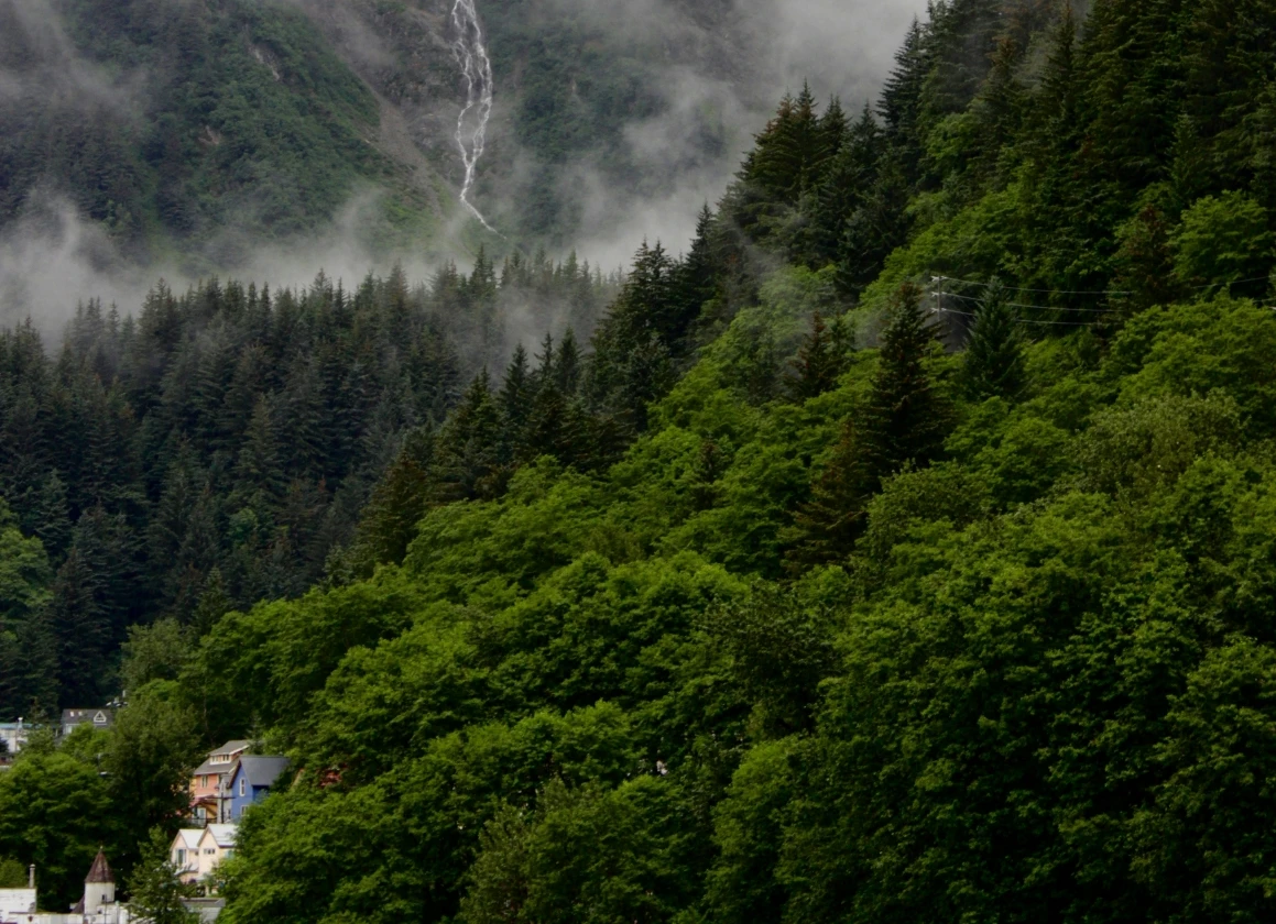 dhruvin-pandya-3hXaOp18nQU-unsplash
