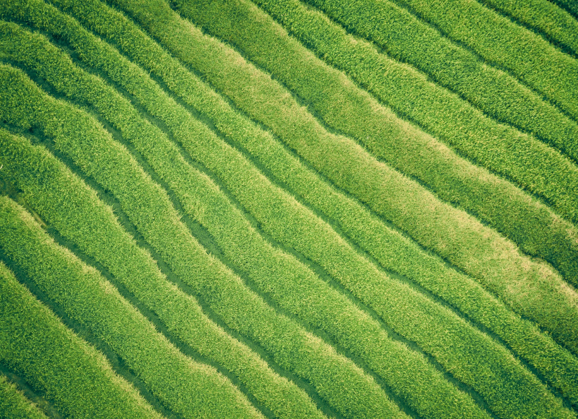 scott-webb--udZnjsCzsE-unsplash